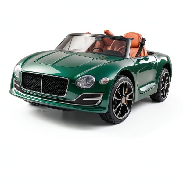 Changzhou 12V Battery Charger Universal Ride On Car Power-6