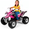 Peg Perego Ride-On 12V Battery Replacement Kids-7