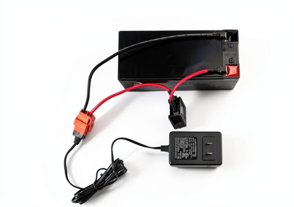 ToiCottage 12V Charger for Kids Ride-On Replacement Parts-6